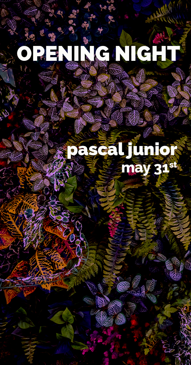 Opening Night ★ Fratelli By The River w/ Pascal Junior