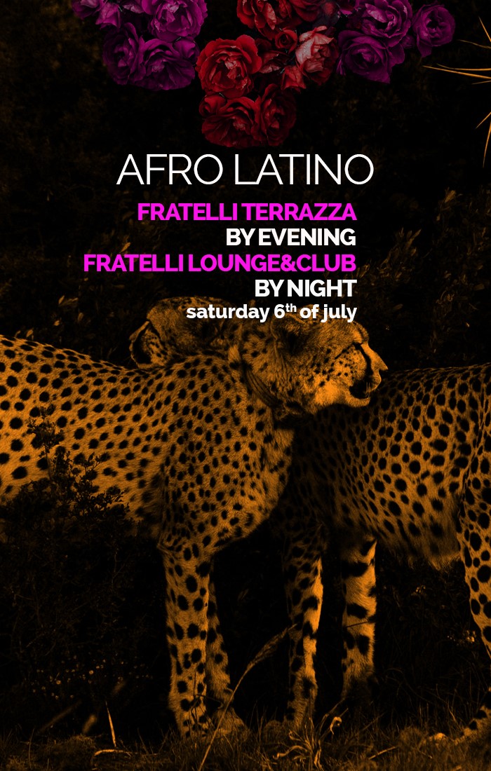 AFRO LATINO